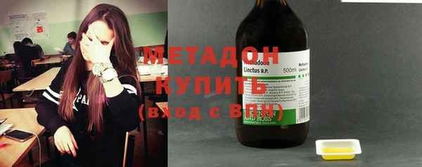 индика Алексин