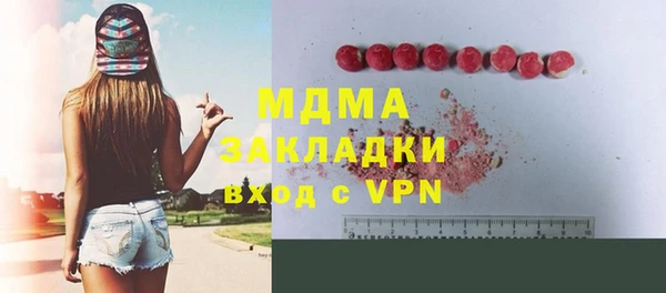 индика Алексин