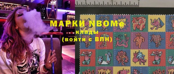 индика Алексин