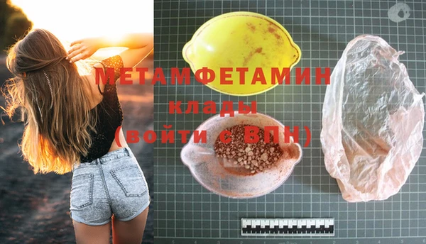 индика Алексин