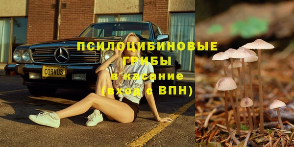 индика Алексин