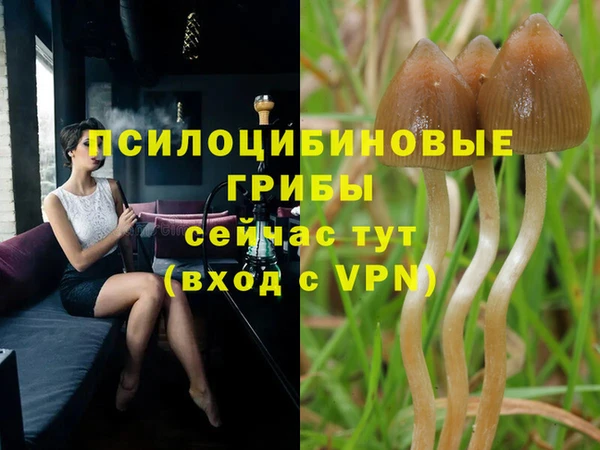 твердый Алзамай