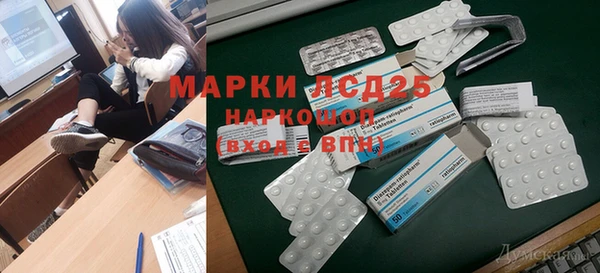 индика Алексин