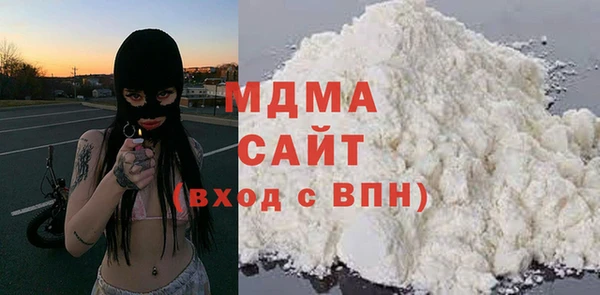 индика Алексин